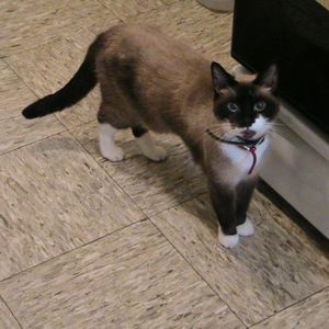 Meet your Posher, Patricia